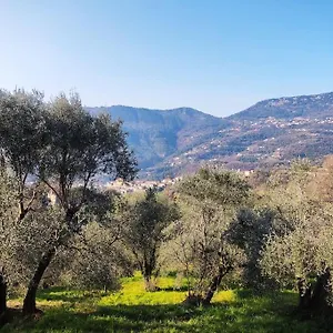 Bas De Villa. Côte D'azur, à 20 Kms De , Contes (Alpes-Maritimes) France